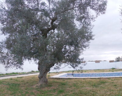 ESSANYA Studio 4 Vue sur Piscine – Sousse
